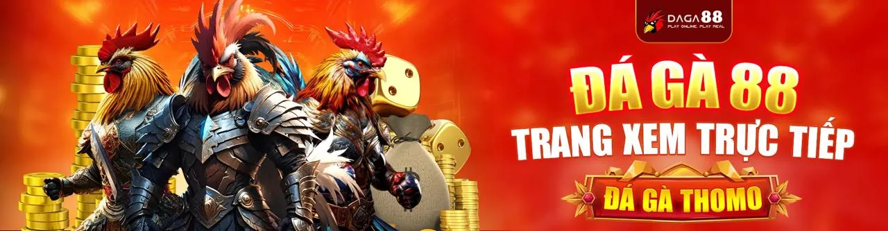 Quản lý cookie và công nghệ theo dõi trên Surewin